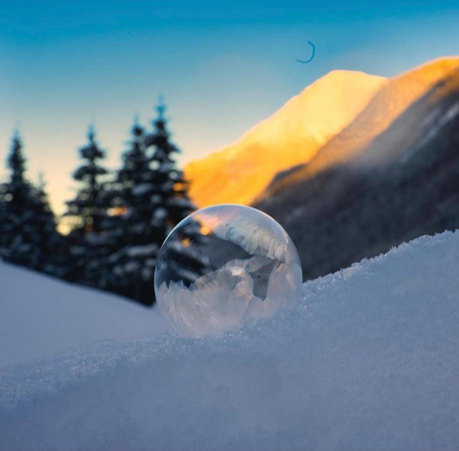 Apart Lechleitner Ischgl Luaran gambar